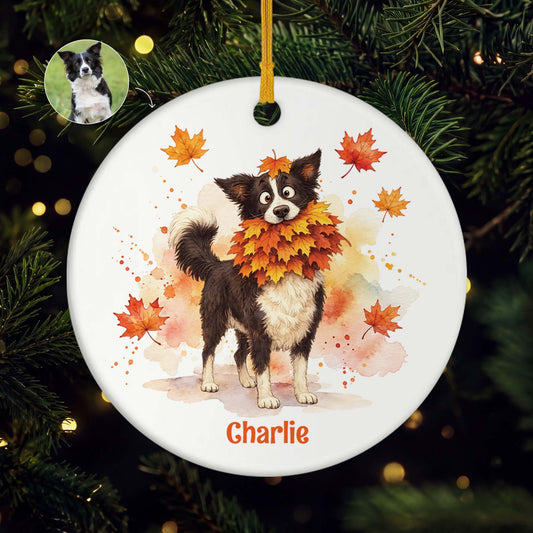 1_1a6728d5 af00 478a a707 98d6665afdef