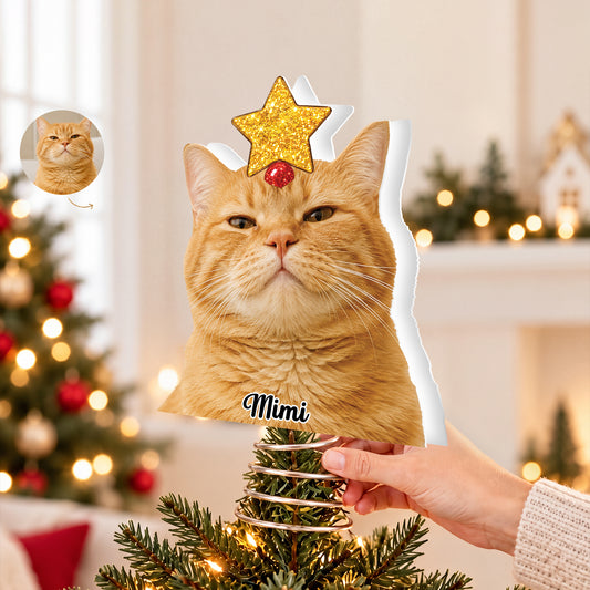 2_b8a1b988 c581 4952 9881 0e5b0392bbfc