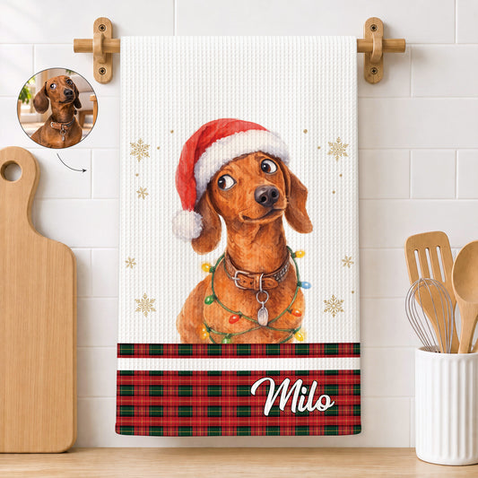 2_c938569e 4b01 433e 9a4e 8395e1cd3298