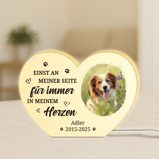 5251LGE1 fur immer in meinem herzen personalisierte lightbox_ hund mit foto zur erinnerung 5251L8H5C_2a762557 5e75 4506 9c5e 8649018480f7