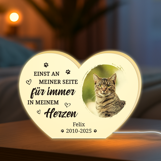 5251LGE2 fur immer in meinem herzen personalisierte lightbox_ hund mit foto zur erinnerung 5251L8H5C