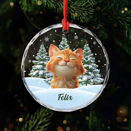 5379OGE1 katze weihnachtsbaum personalisierter weihnachtsschmuck_ aus glas katzen mit foto 5379OKQMD