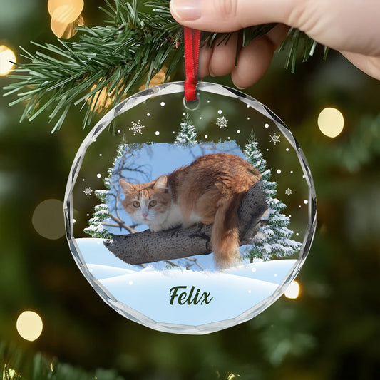 5379OGE2 katze weihnachtsbaum personalisierter weihnachtsschmuck_ aus glas katzen mit foto 5379OKQMD