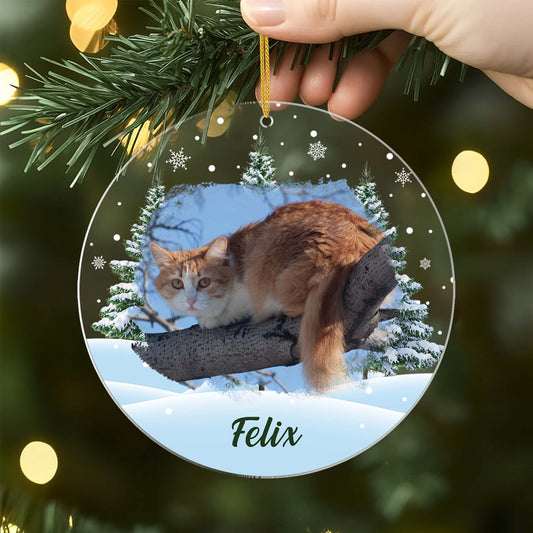 5379OGE2 katzen im schnee christbaumschmuck katze personalisiert_ mit foto 5379OKQ5D