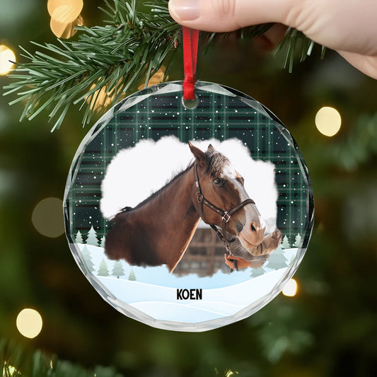 5387OGE2 pferde personalisierter weihnachtsschmuck_ aus glas pferde 5387O6VAU