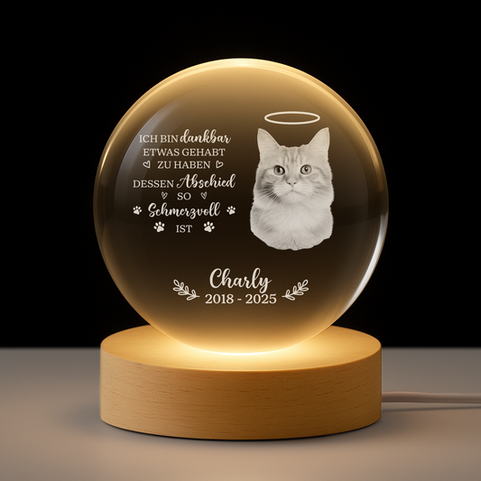 6459LGE1 der schmerz des abschieds zeigt wie wertvoll es war kristallkugel personalisiert_ katze hund mit foto zur erinnerung 6459LKPMC