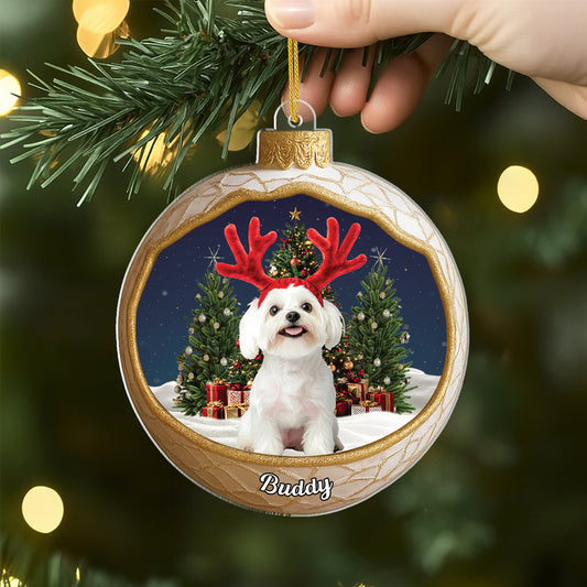 MK2ALL_30f4a405 fa95 4385 8c7c 6c79dcbf92ab