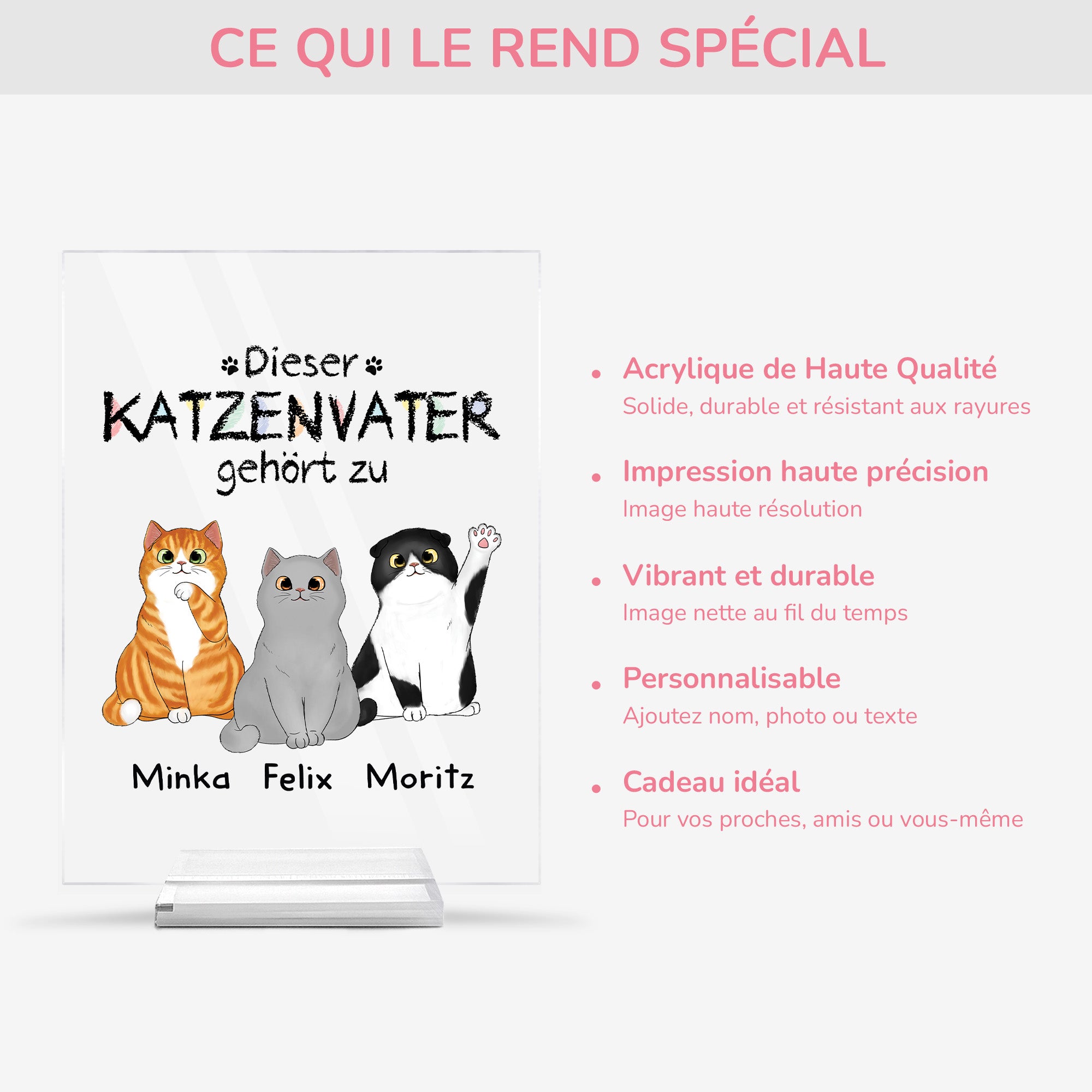 0938RGE5 dieser katzenpapa gehort zu personalisierte acryl plakette katzen 0938R8T8D