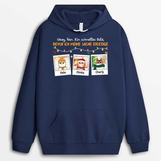 1391HGE2 personalisierter meine katzen sind suchtig nach weihnachtsfotos hoodie