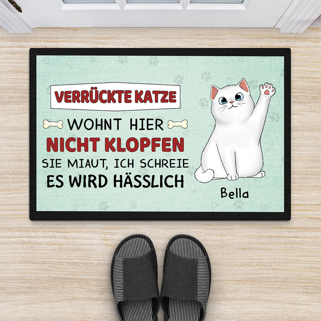 2642DGE2 verruckte katzen wohnen hier  personalisierte fussmatte fur katzenbeliebhaber