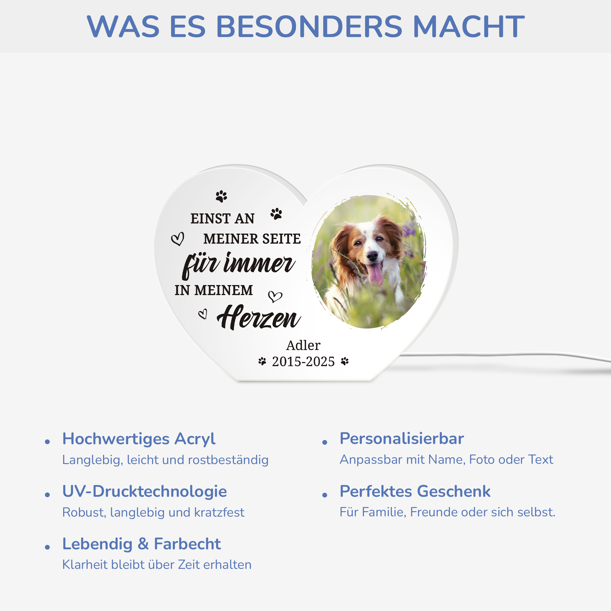 5251LGE4 fur immer in meinem herzen personalisierte lightbox_ hund mit foto zur erinnerung 5251L8H5C_3571cfc8 7658 43b7 b02f dd8f977784b6