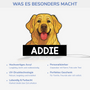 5253LGE4 hund personalisierte lightbox_ hunde 5253L3N5C