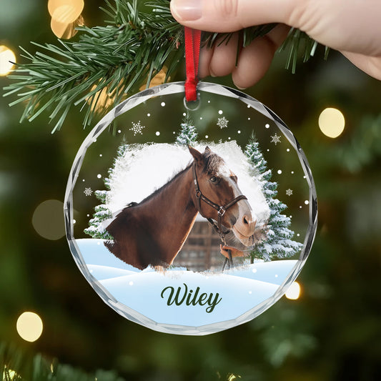 5379OGE2 pferd weihnachtsbaum personalisierter weihnachtsschmuck_ aus glas pferde mit foto 5379OKTMU