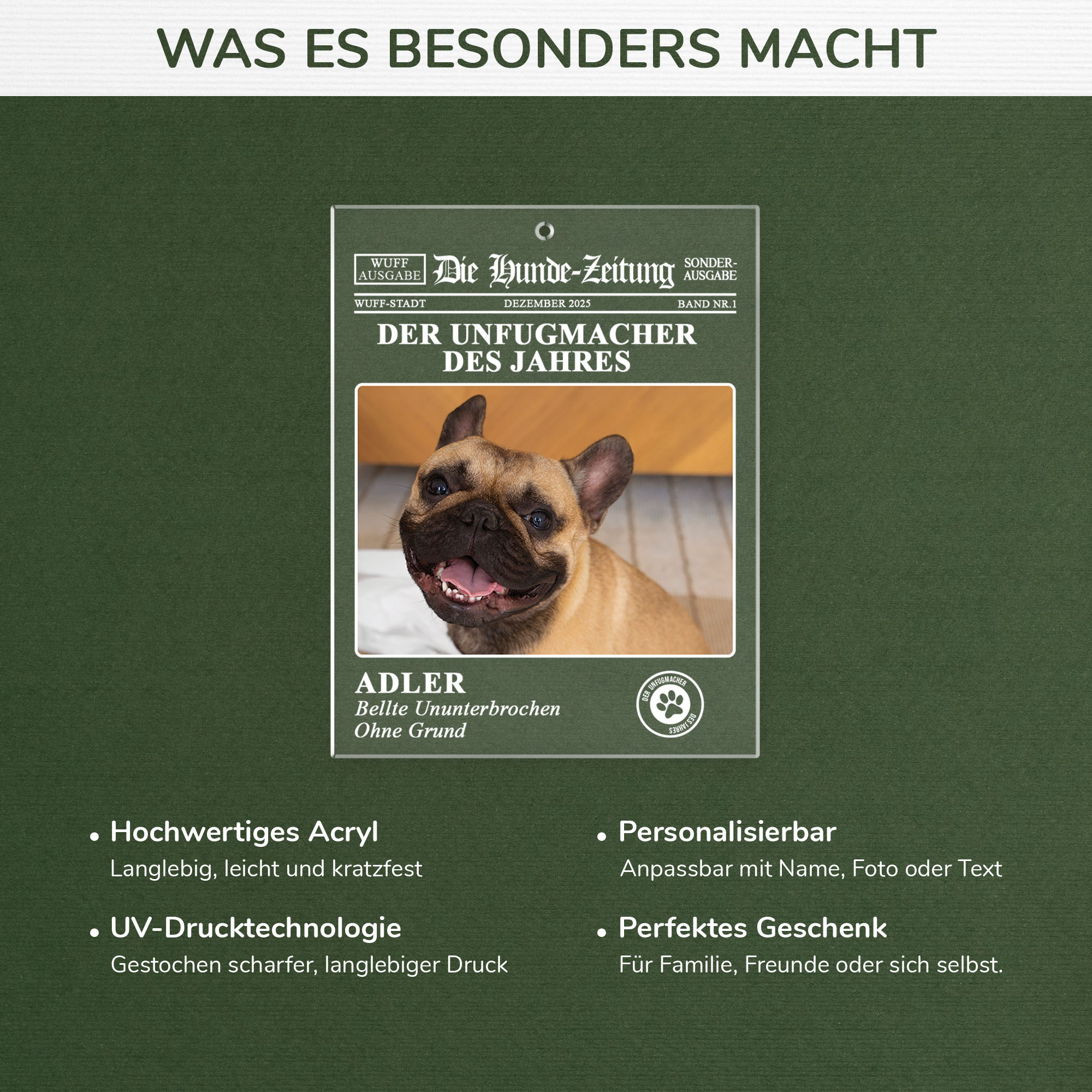 5560OGE4 die hunde zeitung personalisierte acryl ornamente hunde mit foto 5560OTTQC