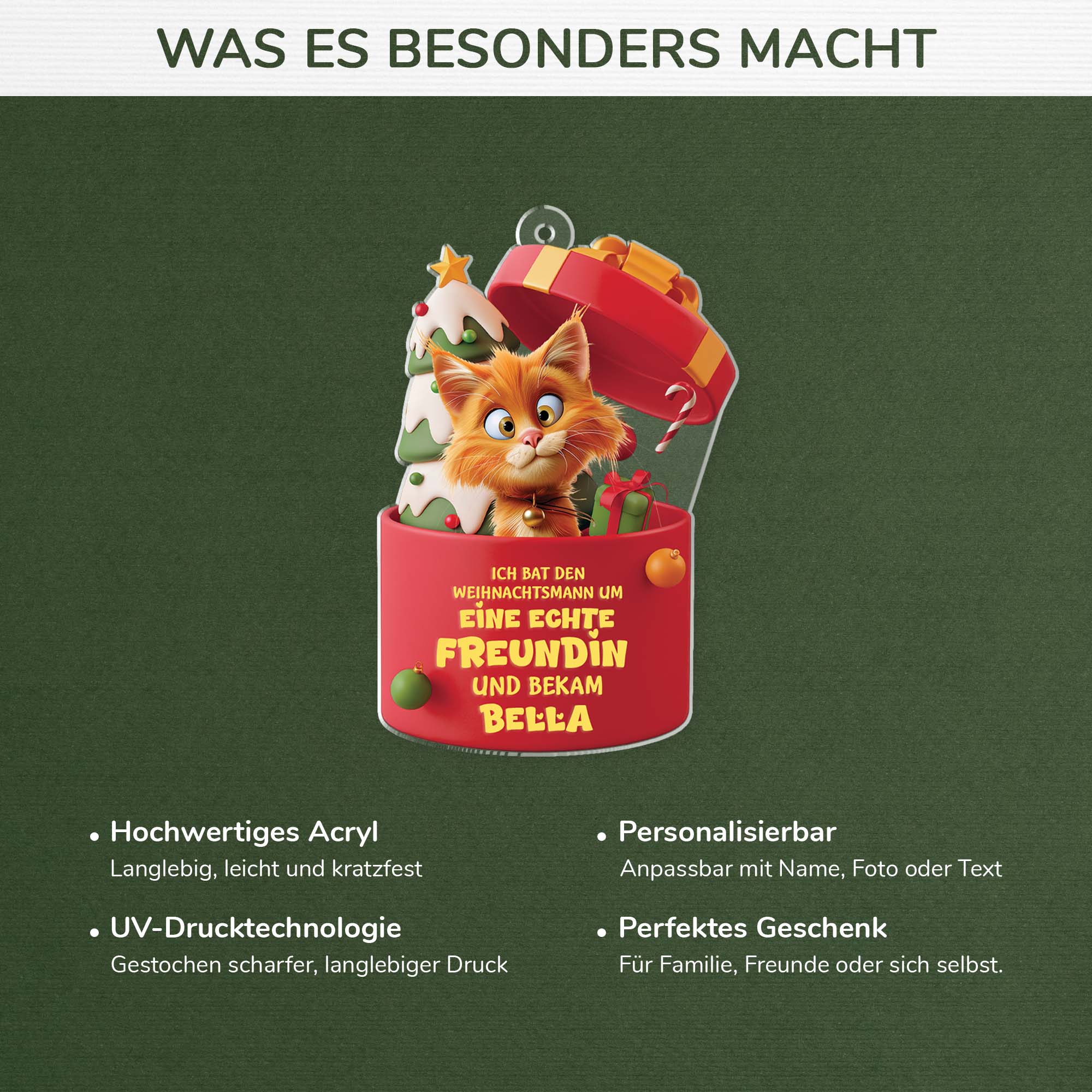 6098OGE4 3d druck effekt ich bat den weihnachtsmann um wahre freunde acryl christbaumschmuck katze personalisiert_ 6098OKLAD