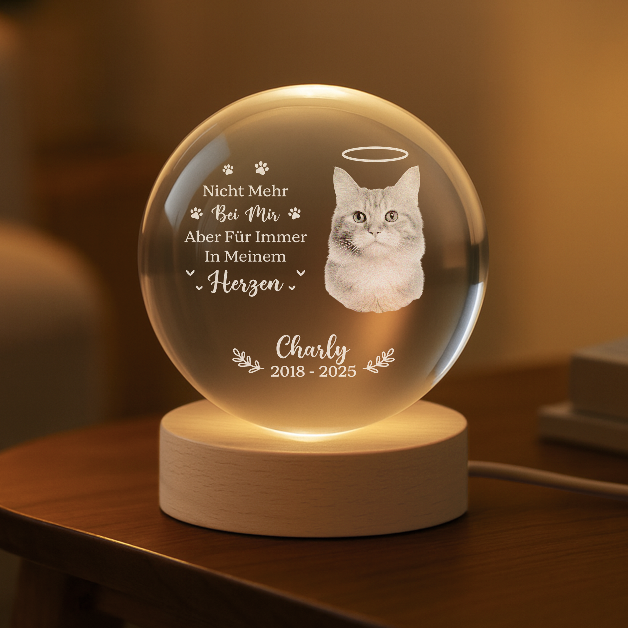 6459LGE2 der schmerz des abschieds zeigt wie wertvoll es war kristallkugel personalisiert_ hund katze mit foto zur erinnerung 6459LKPMC