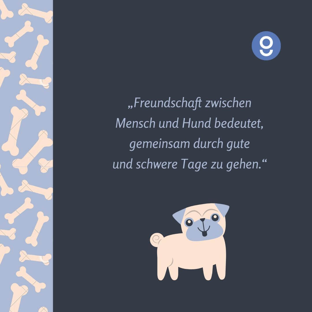 sprüche hunde​