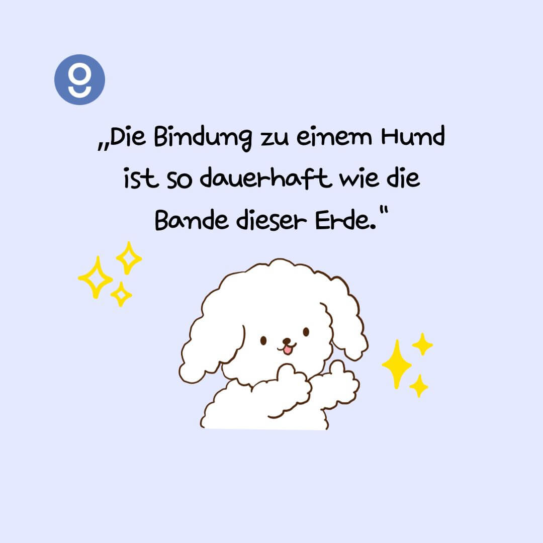 sprüche hundeliebe