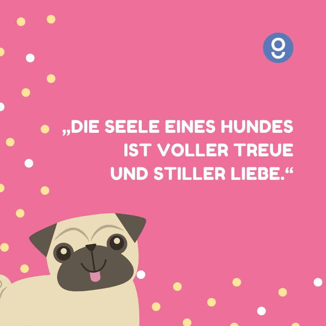 sprüche hundeliebe