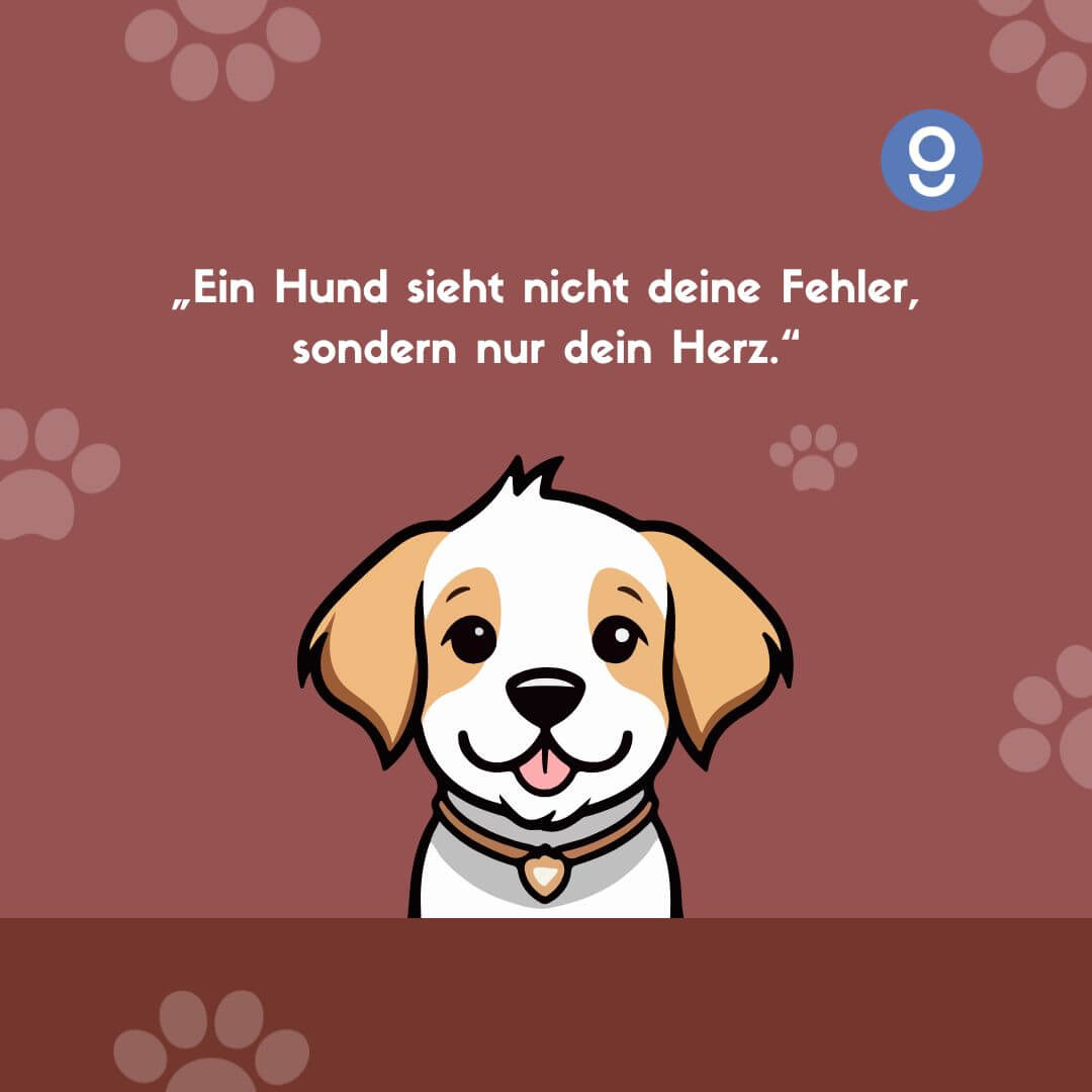 sprüche zu hundeliebe