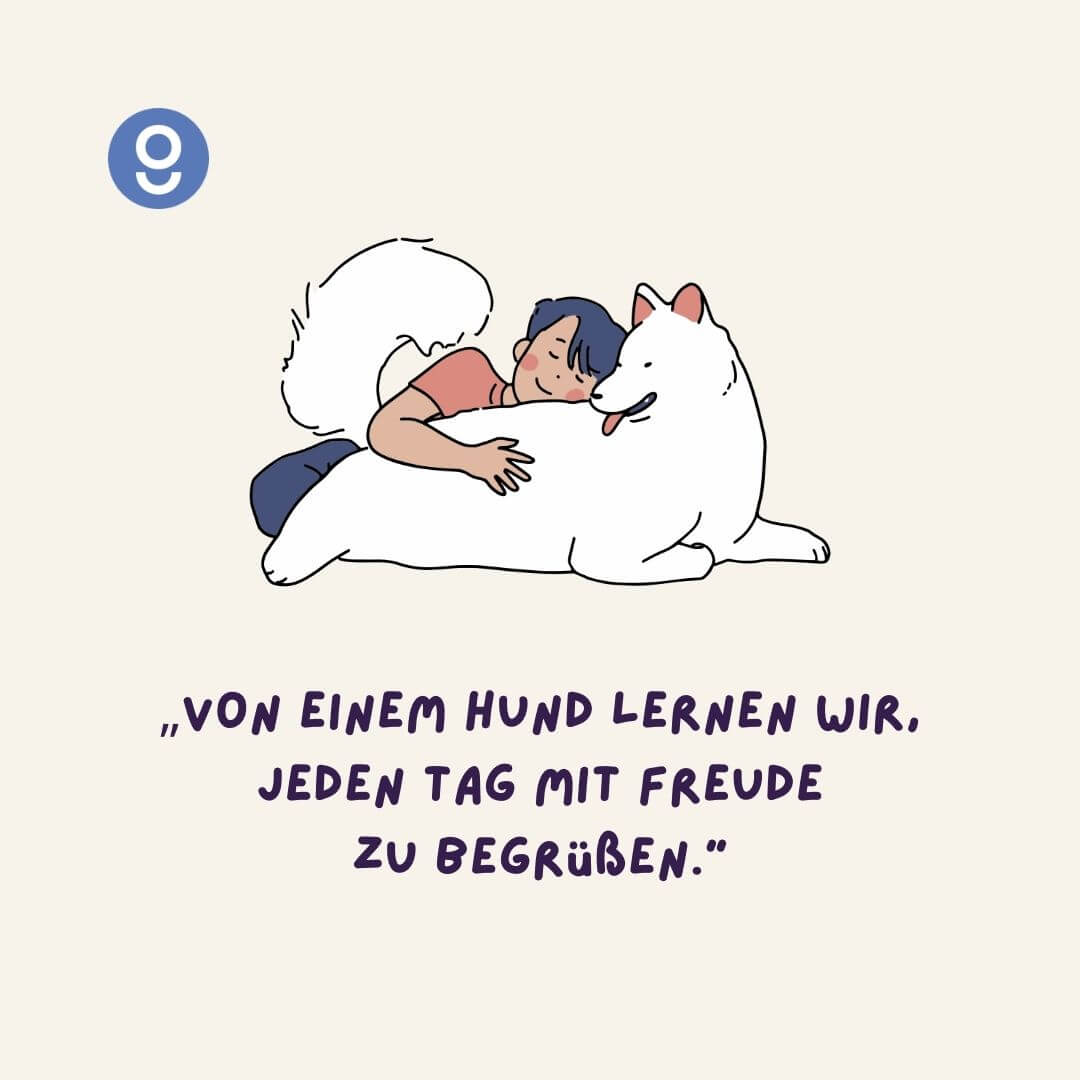 sprüche hund mensch beziehung​