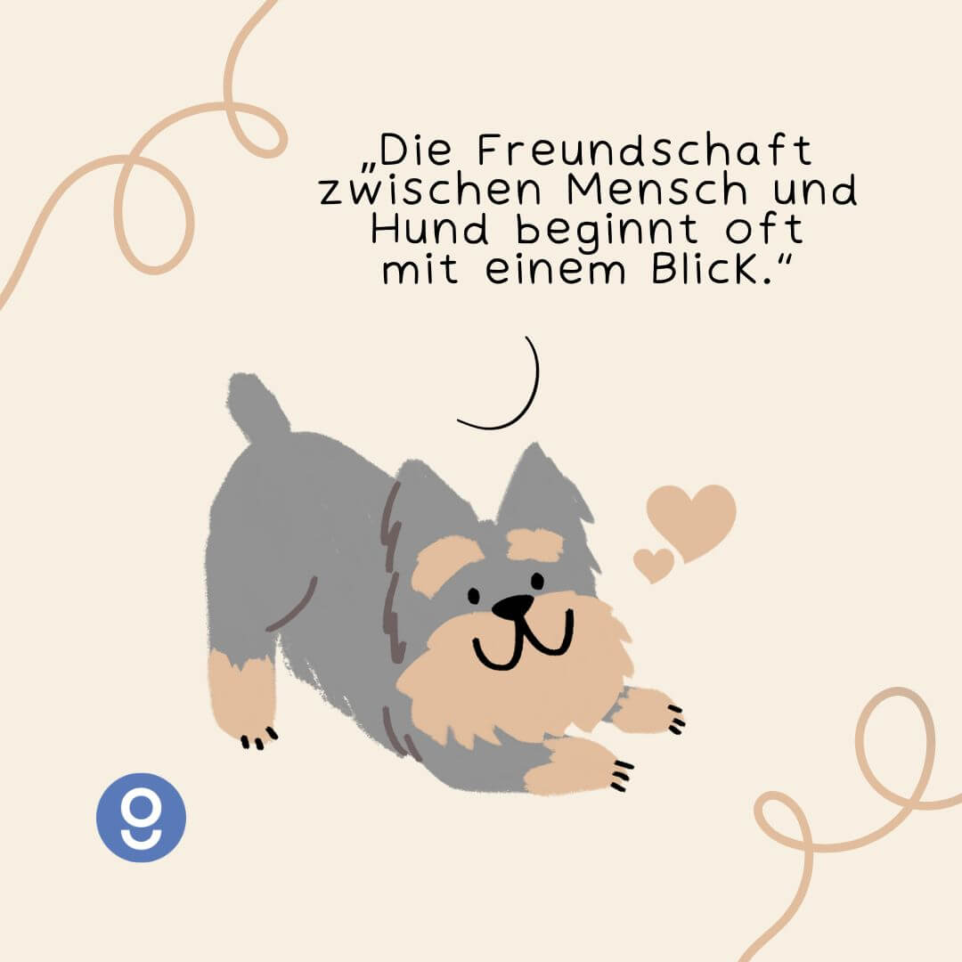 sprüche hund mensch beziehung​