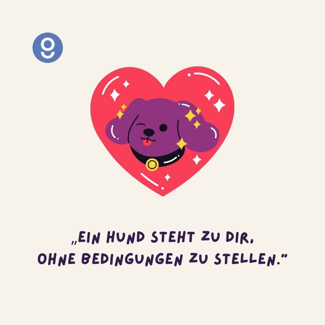 sprüche zu hundeliebe