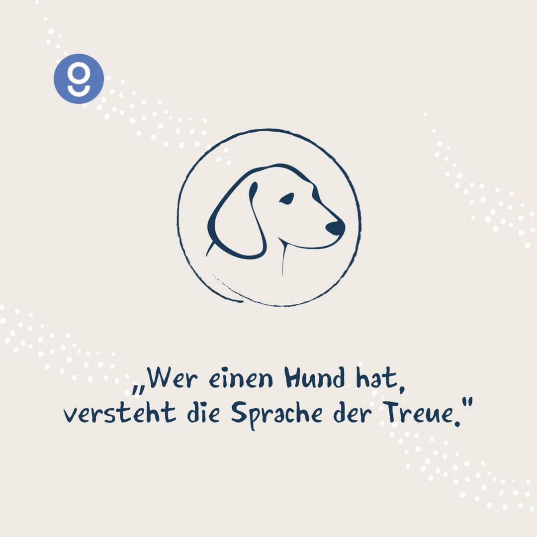 sprüche zu hundeliebe