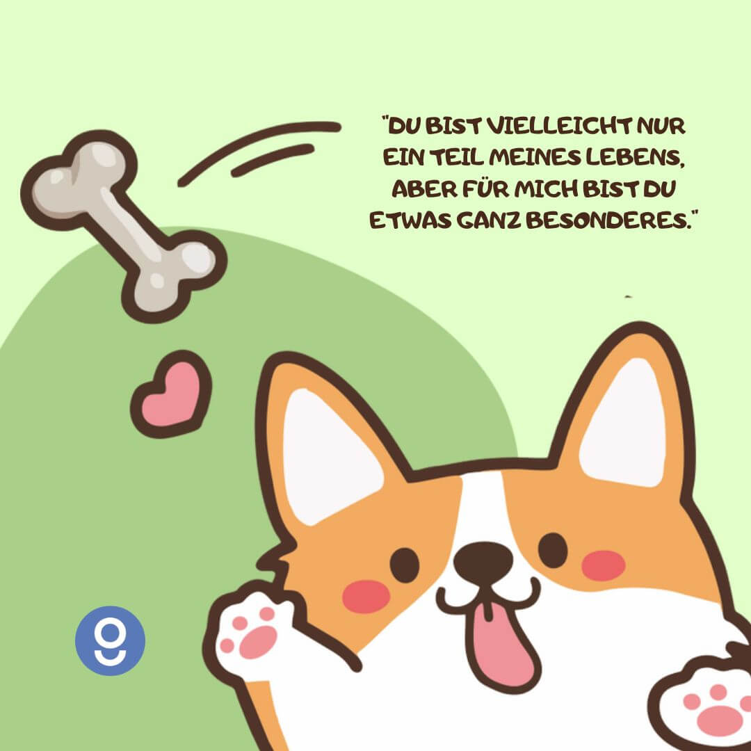 sprüche mit hunden​