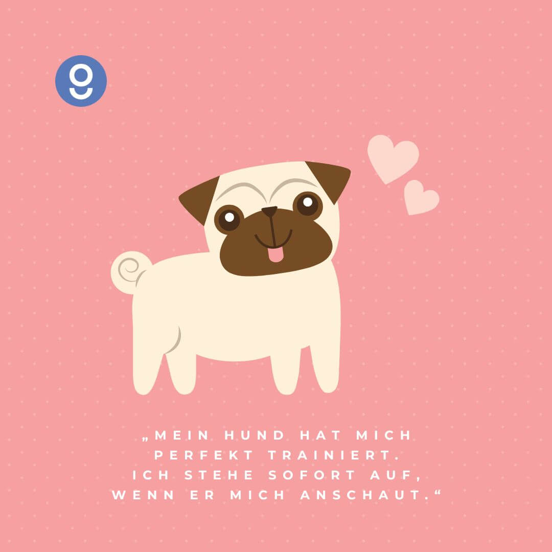 sprüche hunde​