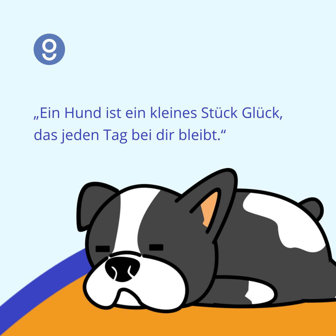 sprüche hundeliebe