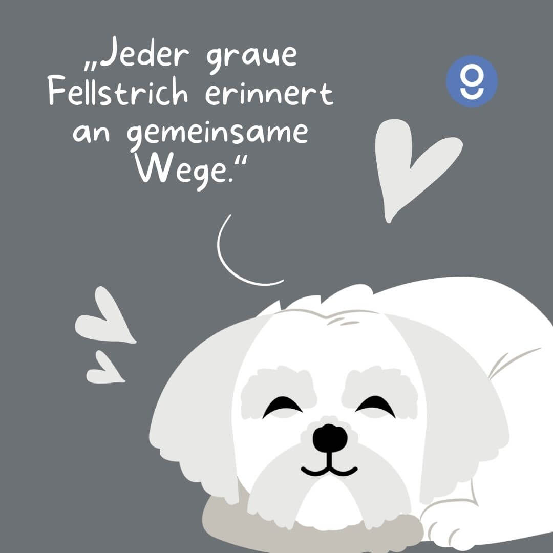 sprüche hunde​