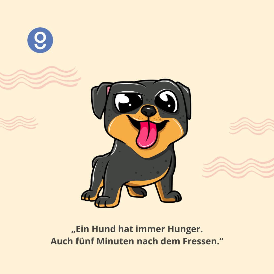 sprüche mit hunden​