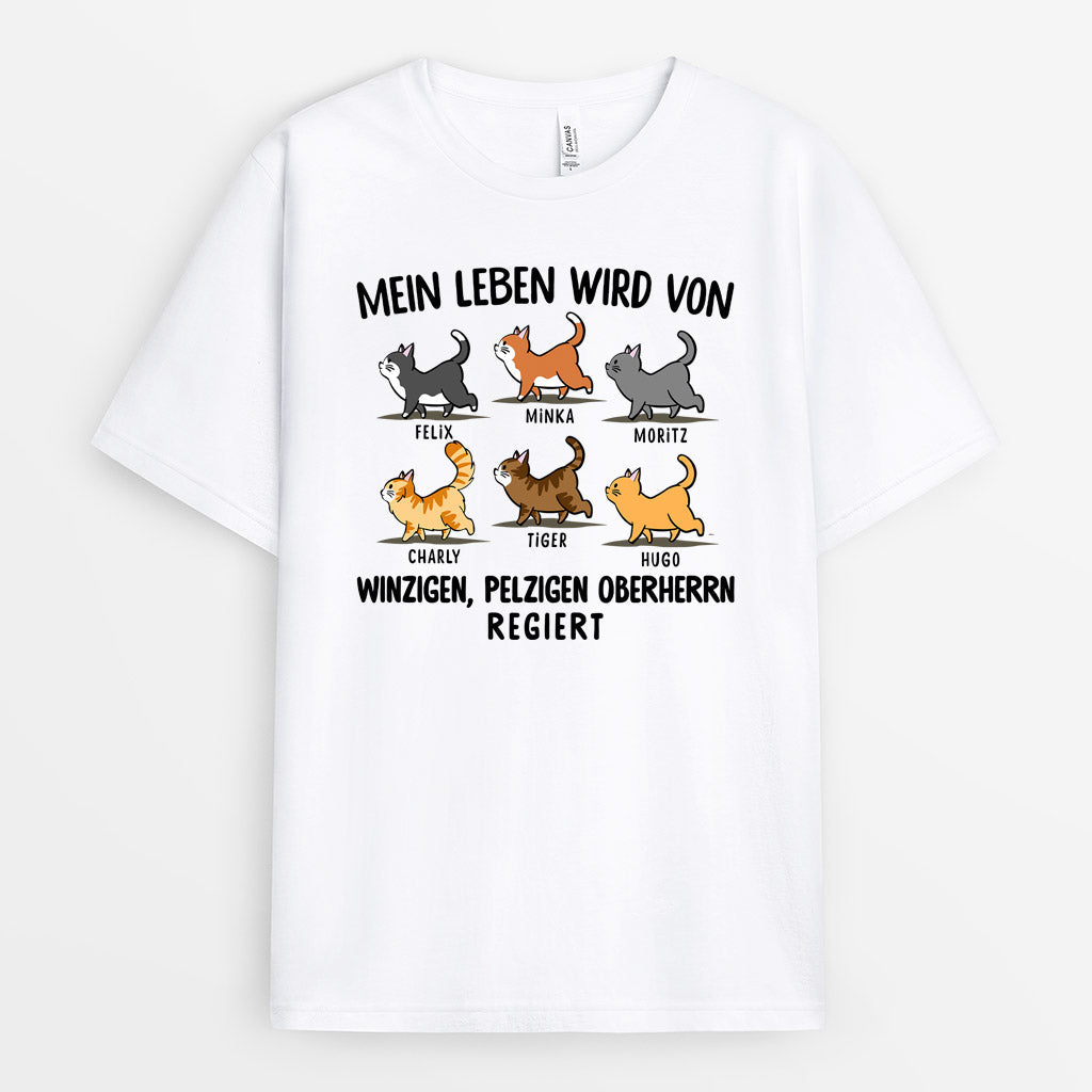 0147AGE2 personalisierte T Shirt geschenke katzen katzenliebhaber_7703247f d16d 44e0 805b 34e1db1bb46f